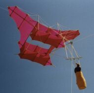 Manlifter von Alfons Karsten