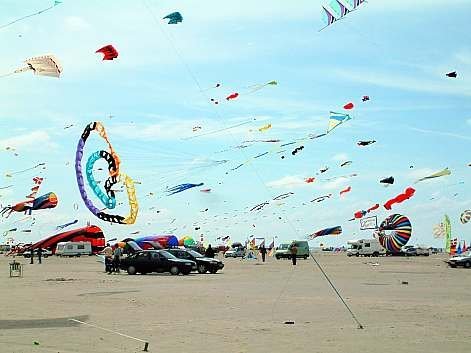 schlange mit anderen drachen